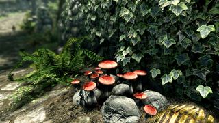 Screenshot 6 of 8 from The Elder Scrolls V: Skyrim