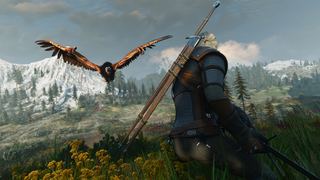 Screenshot 1 of 12 from The Witcher 3: Wild Hunt